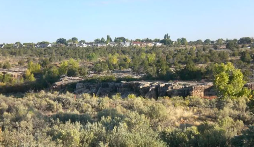 Modern image of Mitchell Springs area.